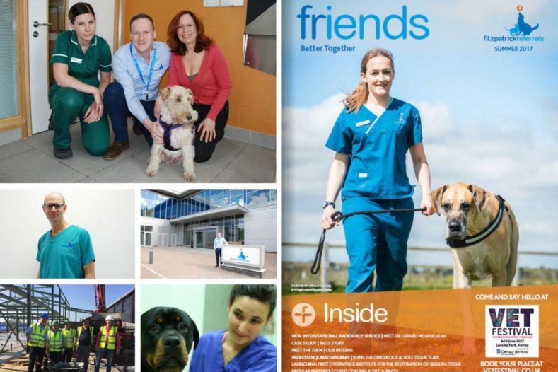 Fitzpatrick Referrals Friends Summer Newsletter 2017