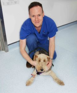 Dr Gerard McLauchlin and Rags at Fitzpatrick Referrals Dr Gerard McLauchlin and Rags at Fitzpatrick Referrals