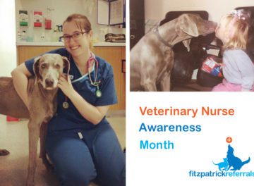 Kelly Ripley Veterinary Nurse at Fitzpatrick Referrals