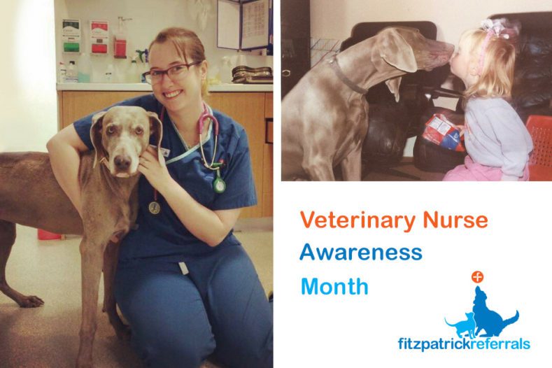 Kelly Ripley Veterinary Nurse at Fitzpatrick Referrals