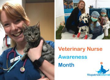 Senior Veterinary Nurse Sarah King