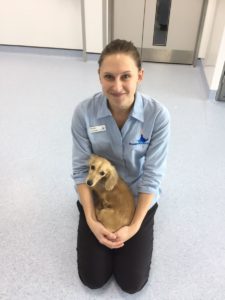 Staff Oncologist Emily with Jasmine at Fitzpatrick Referrals