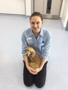 Staff Oncologist Emily with Jasmine at Fitzpatrick Referrals Staff Oncologist Emily with Jasmine at Fitzpatrick Referrals