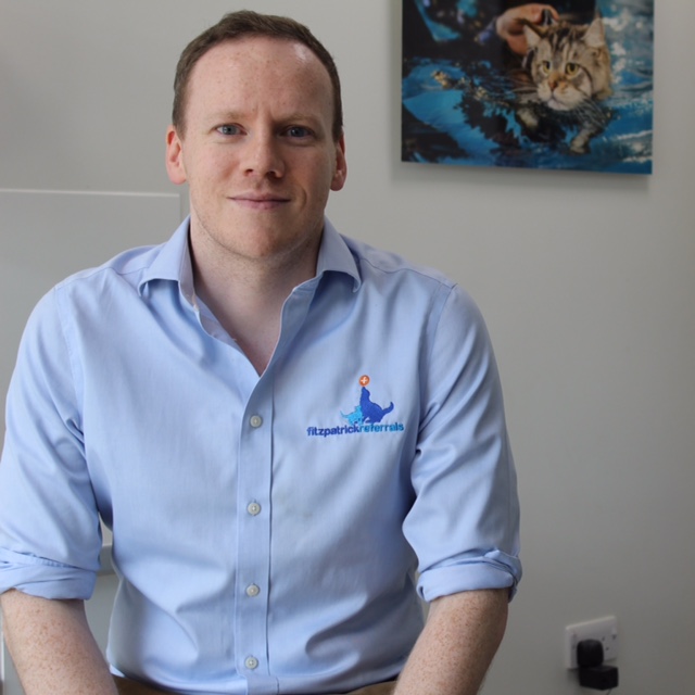 Dr Gerard McLauchlan, European and RCVS Specialist in Small Animal Internal Medicine, Ftizpatrick Referrals Dr Gerard McLauchlan, European and RCVS Specialist in Small Animal Internal Medicine, Ftizpatrick Referrals