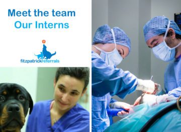 Fitzpatrick Referrals Interns