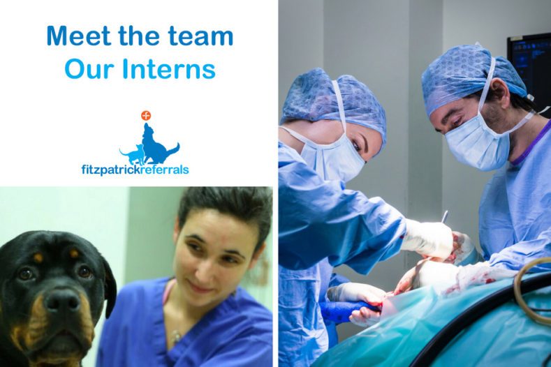 Fitzpatrick Referrals Interns