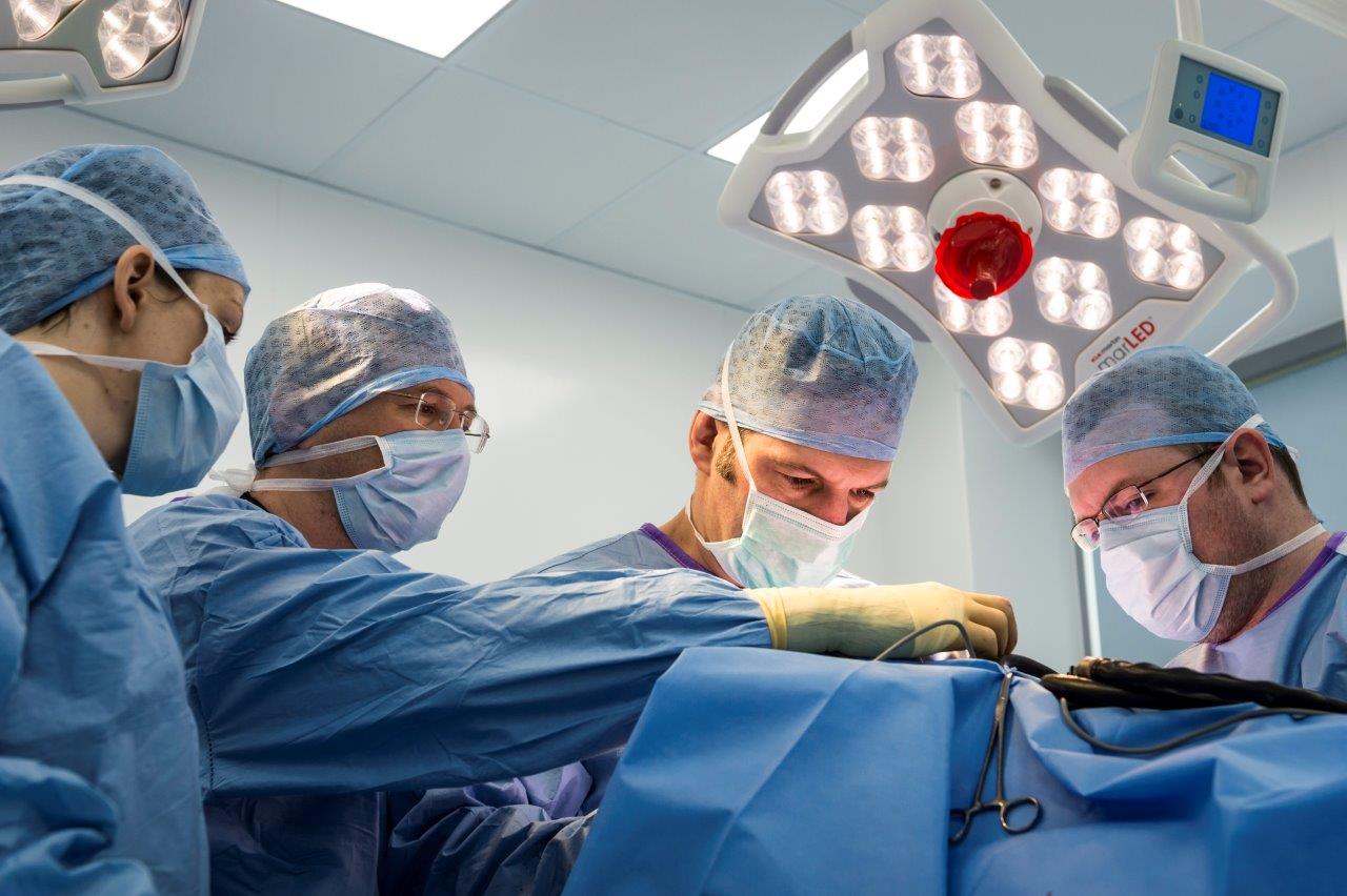 Professor Nick Bacon in surgery, Fitzpatrick Referrals Oncology & Soft Tissue
