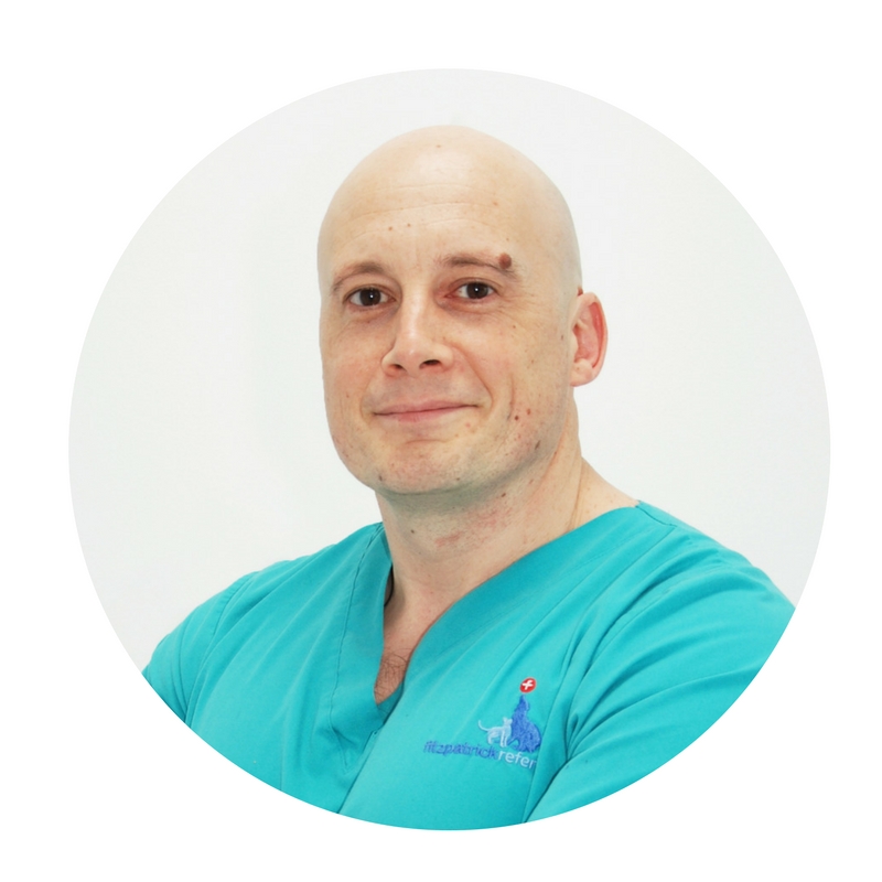 Dr Laurent Findji, Senior Surgeon Oncology & Soft Tissue, Fitzpatrick Referrals