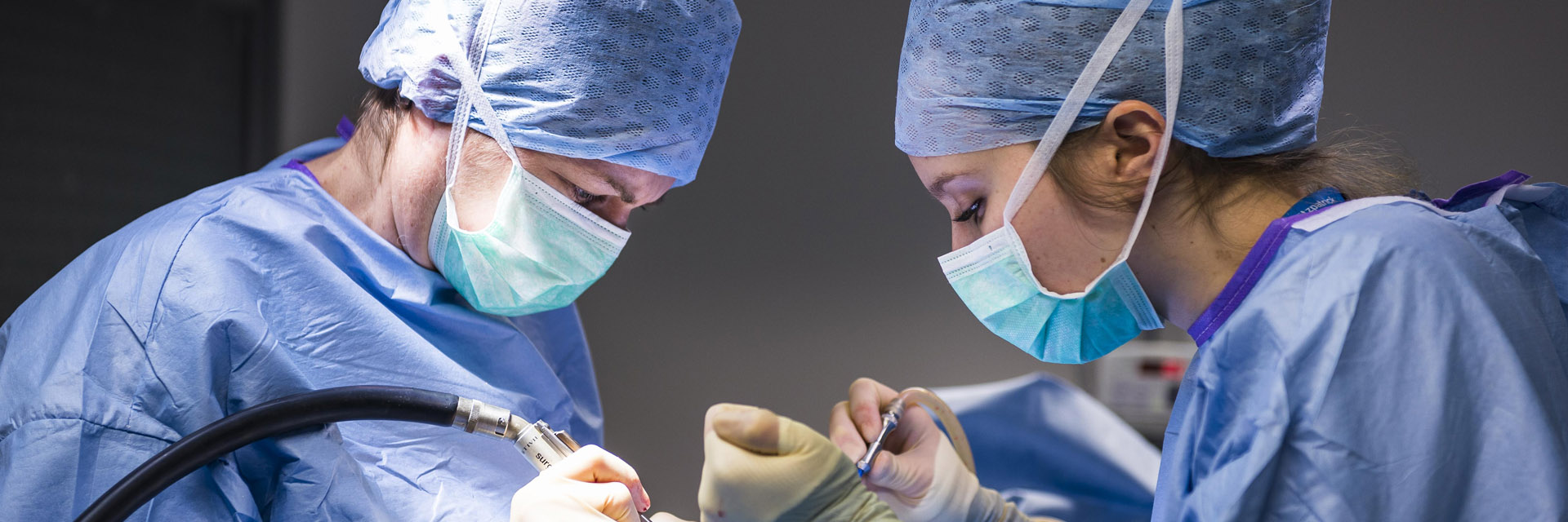 Neurology Service Fitzpatrick Referrals