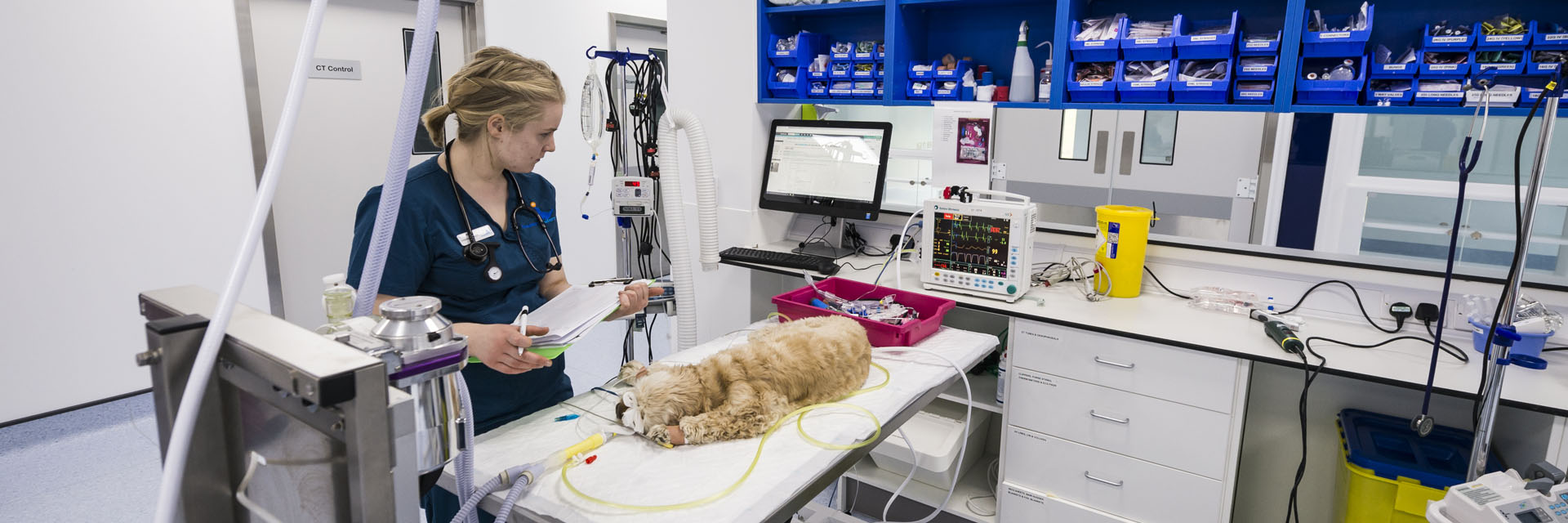 Registered Veterinary Nurse with a patient in prep at Fitzpatrick Referrals