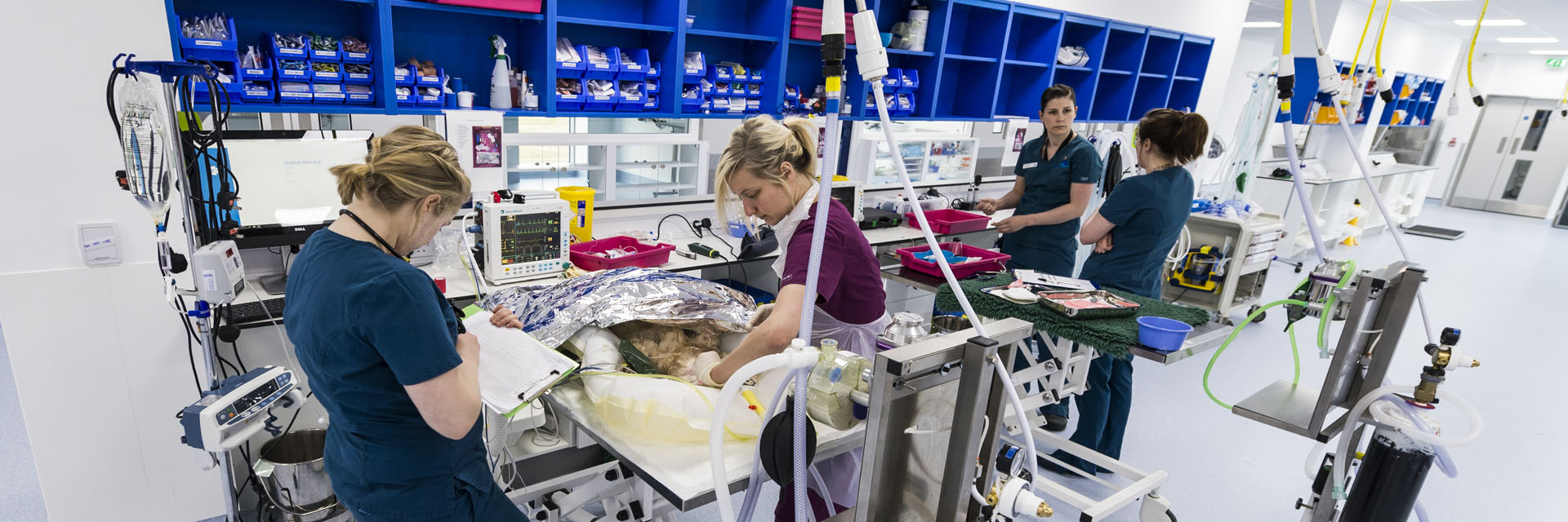 Veterinary nursing and auxiliary team in prep at Fitzpatrick Referrals Oncology and Soft Tissue Hospital Guildford