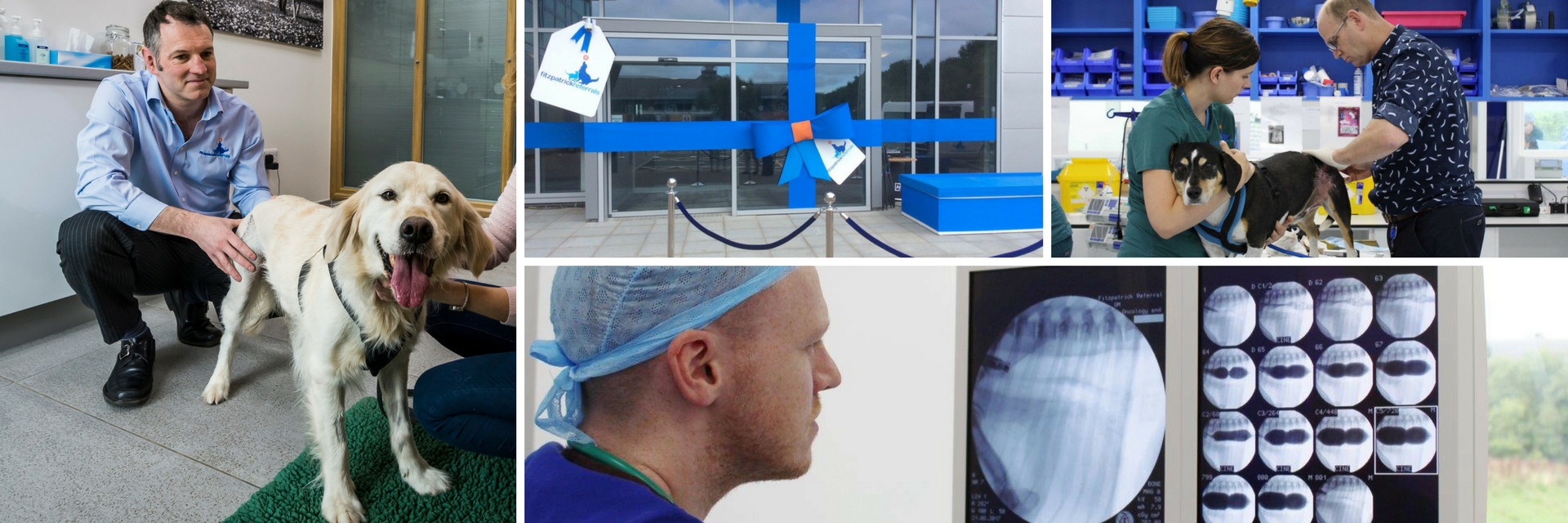 2nd birthday of Fitzpatrick Referrals Oncology & Soft Tissue hospital