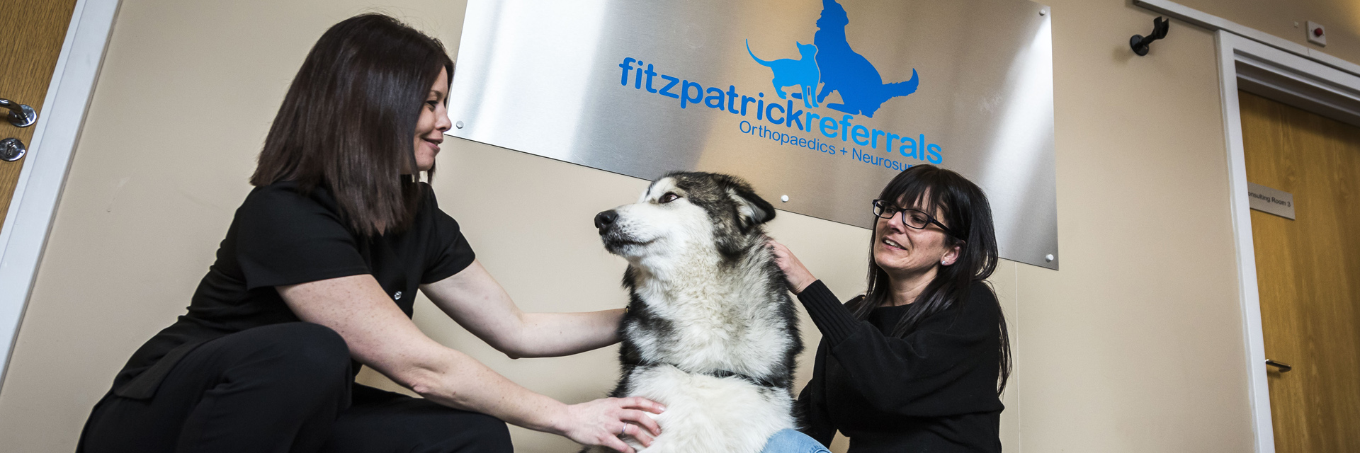 Receptionist greeting a dog at Fitzpatrick Referrals Orthopaedics and Neurology Centre