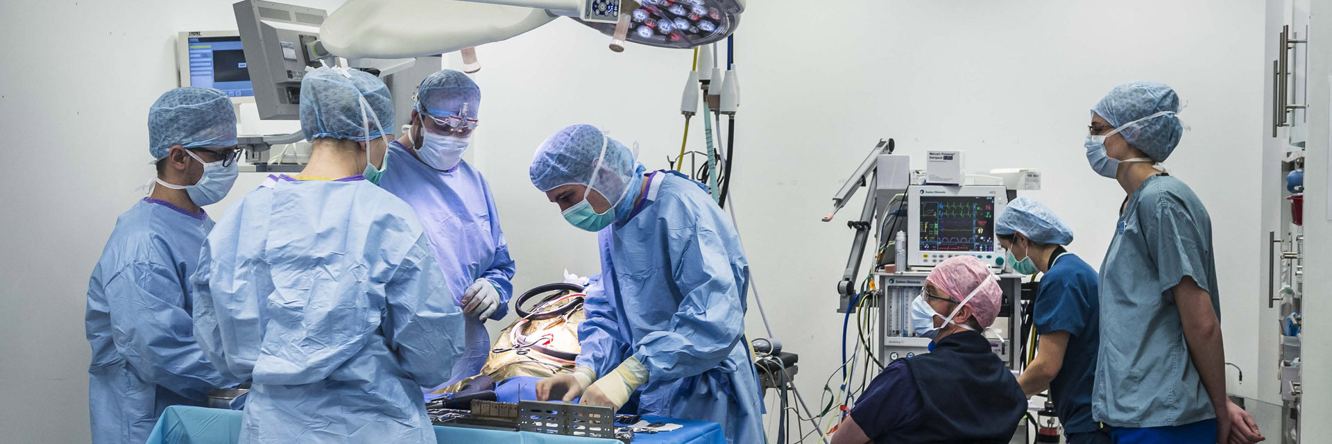 Neurology team & anaesthetist in surgery Fitzpatrick Referrals
