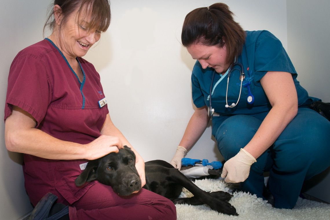 Ward Auxiliary assisting our Ward Nurse giving support to patient at Fitzpatrick Referrals Orthopaedics and Neurology