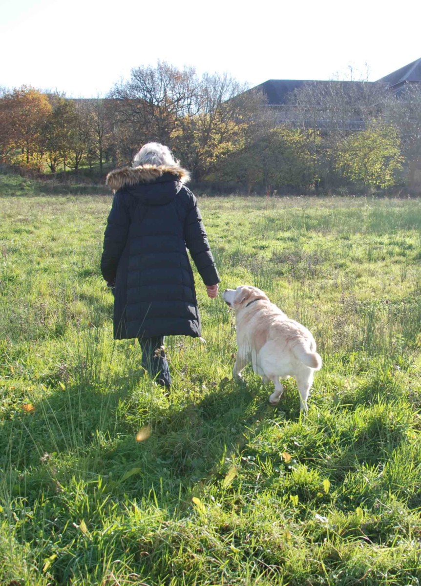 Fitzpatrick Referrals oncology patient Monty walking with his owner