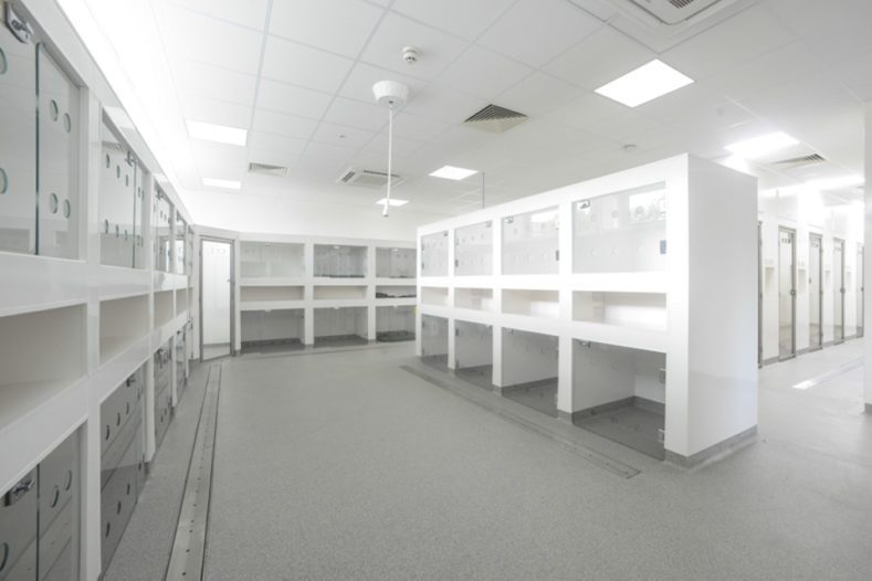 Dog wards at Fitzpatrick Referrals Oncology and Soft Tissue