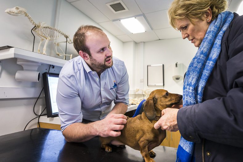 Senior Surgeon Colin Driver in consultation at Fitzpatrick Referrals