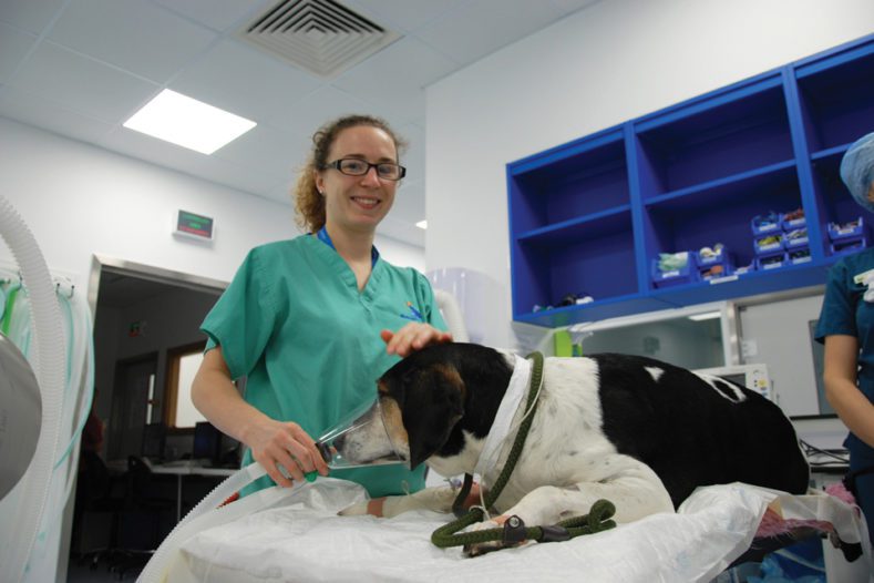 Intern Erika with patient Sam