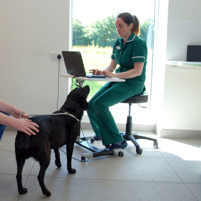 Senior Nurse Clinician Jessica Barnes in consult at Fitzpatrick Referrals Oncology and Soft Tissue