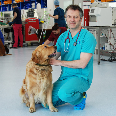 Professor Nick Bacon with patient at Fitzpatrick Referrals Oncology and Soft Tissue hospital in Guildford