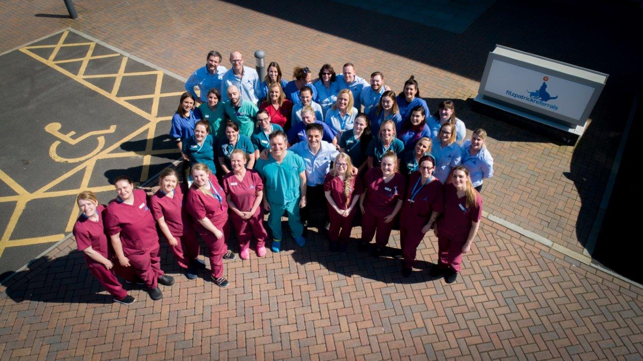 Aerial team photo of Fitzpatrick Referrals Oncology and Soft Tissue hospital team