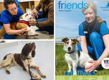 Fitzpatrick Referrals Friends Newsletter VET Festival special 2018