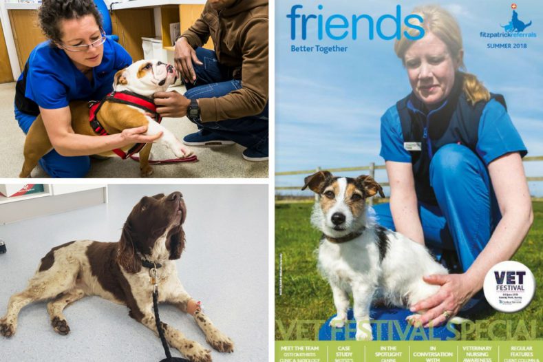 Fitzpatrick Referrals Friends Newsletter VET Festival special 2018