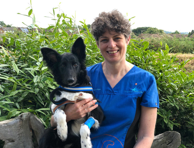 Dr Clare Rusbridge with 6-month-old puppy 5 weeks after brain surgery for hydrocephalus at Fitzpatrick Referrals