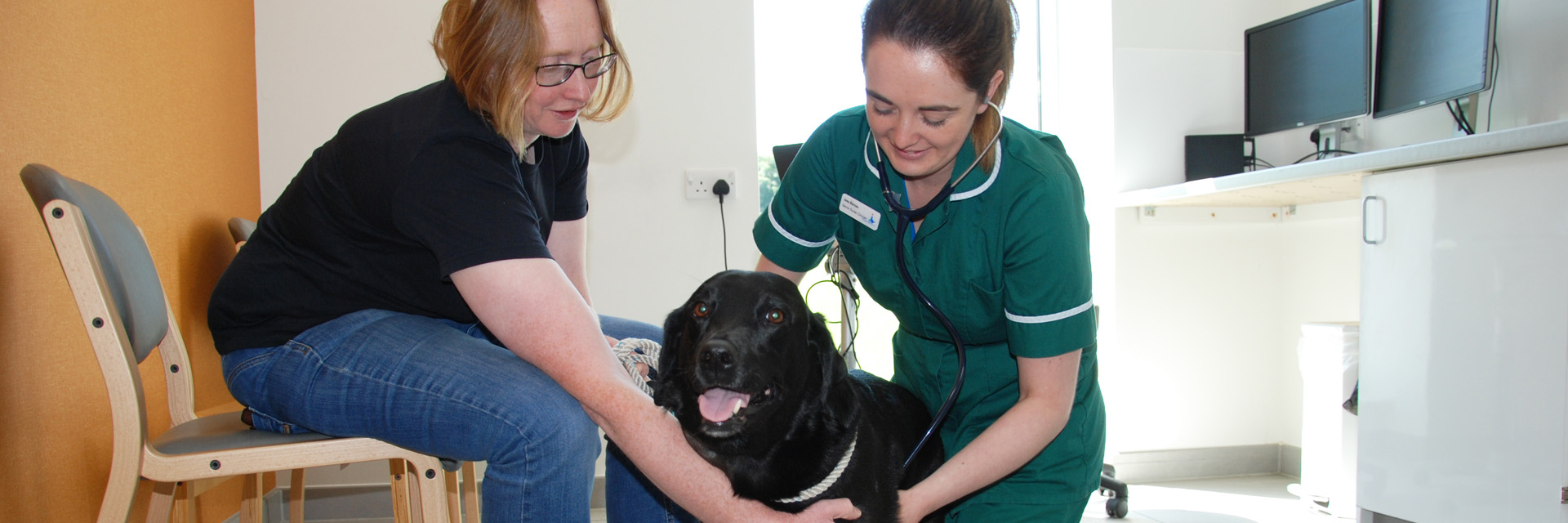 Senior Nurse Clinician in consult at Fitzpatrick Referrals Oncology and Soft Tissue