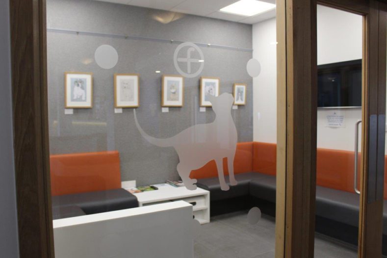 Cat waiting room at Fitzpatrick Referrals Oncology & Soft Tissue Cat waiting room at Fitzpatrick Referrals Oncology & Soft Tissue