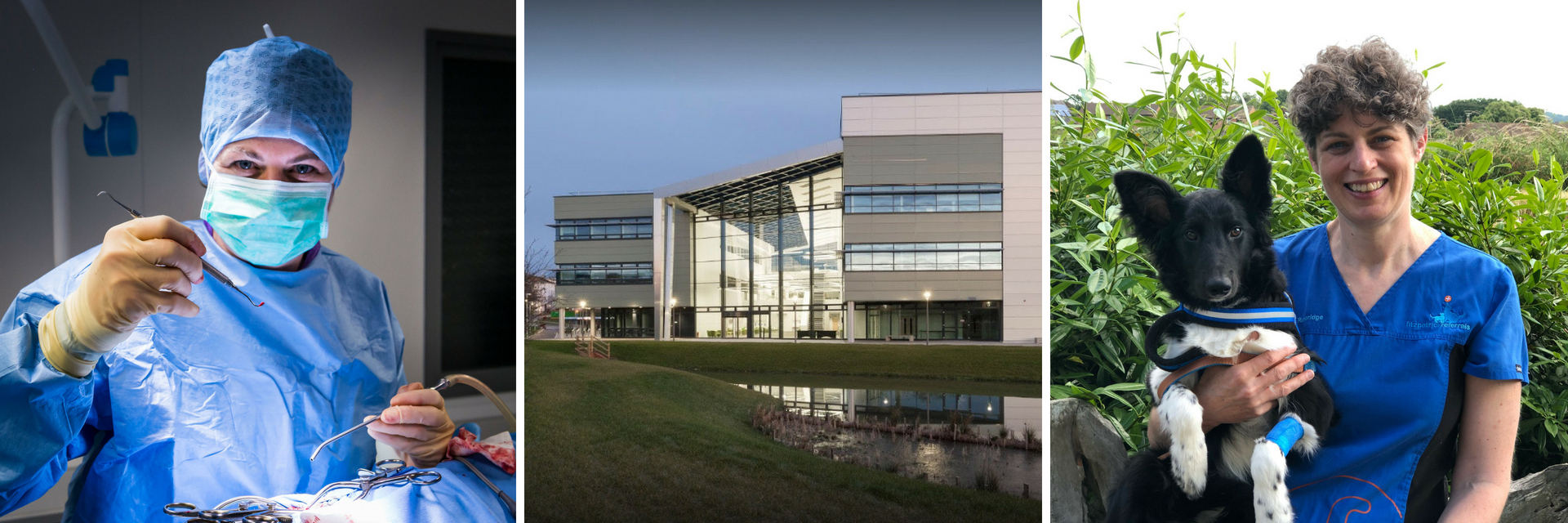 Professor Clare Rusbridge in surgery and with patient at Fitzpatrick Referrals