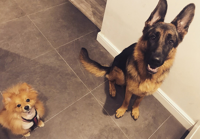 Patient Titan recovering at home with his family