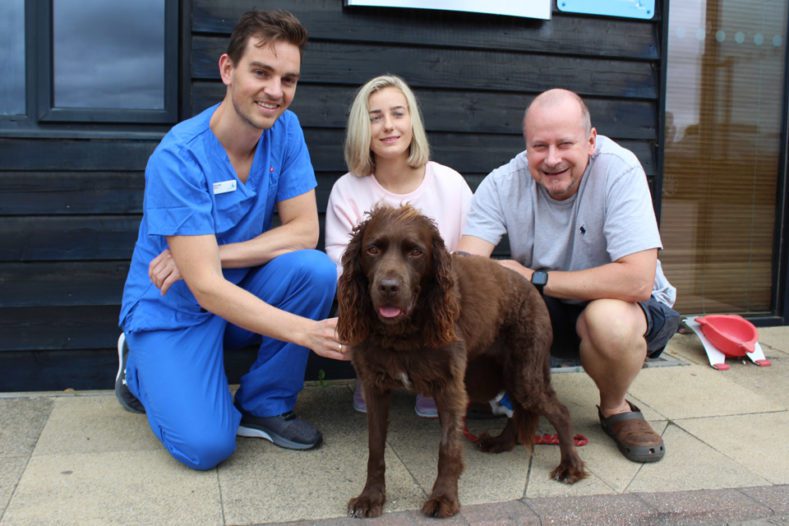 Spaniel with Surgical Resident and family at Fitzpatrick Referrals Orthopaedics and Neurology