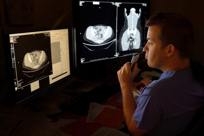 Alex Horton, Consultant Interventional Radiologist at Royal Surrey County Hospital, BMI Mount Alvernia and Nuffield Health Guildford Hospital. Alex Horton reviewing scans