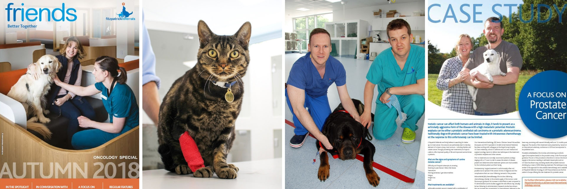 Fitzpatrick Referrals Friends Newsletter Autumn 2018 Oncology Special