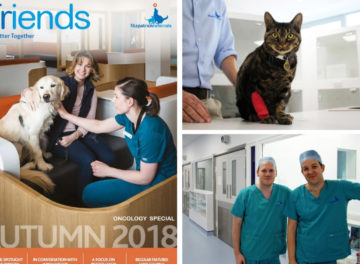 Fitzpatrick Referrals Friends Newsletter Autumn 2018 Oncology Special
