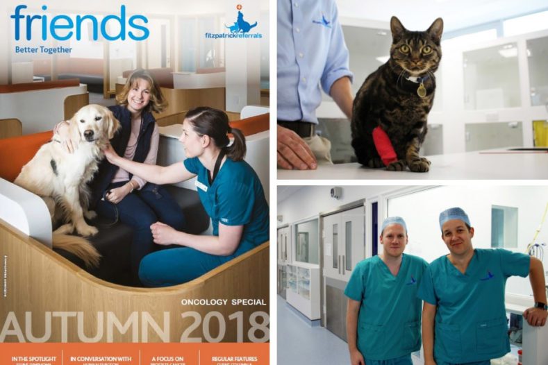 Fitzpatrick Referrals Friends Newsletter Autumn 2018 Oncology Special