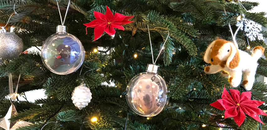 Merry Christmas & Happy New Year from Fitzpatrick Referrals