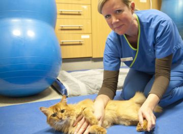 Physiotherapist Fiona Doubleday with feline patient