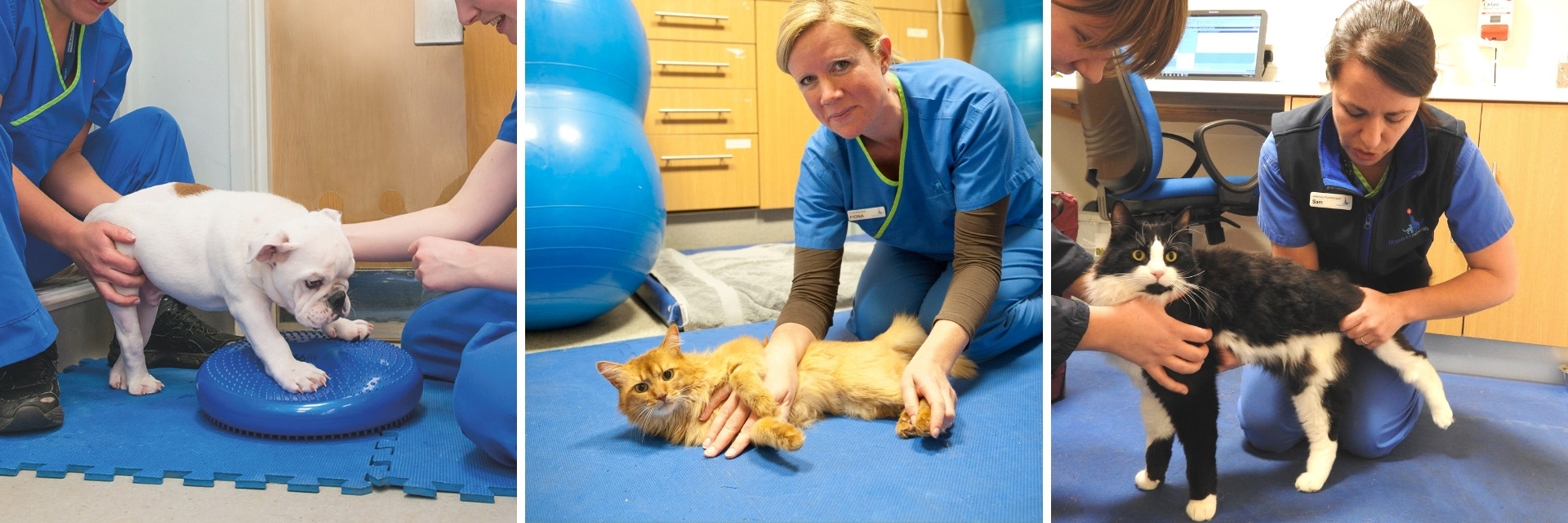 New evening physiotherapy clinics at Fitzpatrick Referrals