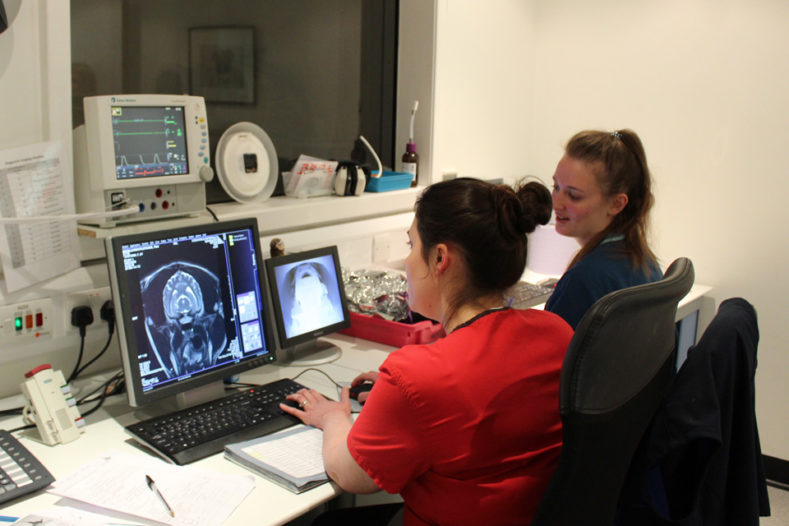 Registered Veterinary Nurse observing a patient having an MRI at Fitzpatrick Referrals Orthopaedics and Neurology