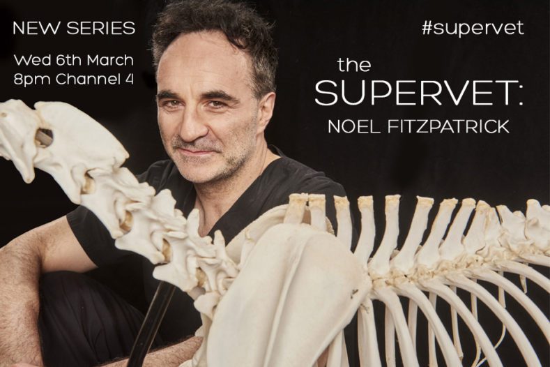 The Supervet: Noel Fitzpatrick