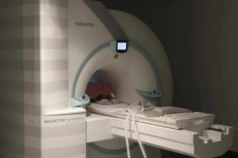 Feline patient having an MRI scan