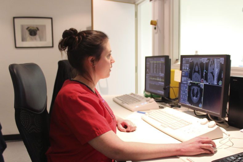 Radiographer Felicity Stringer analysing scans