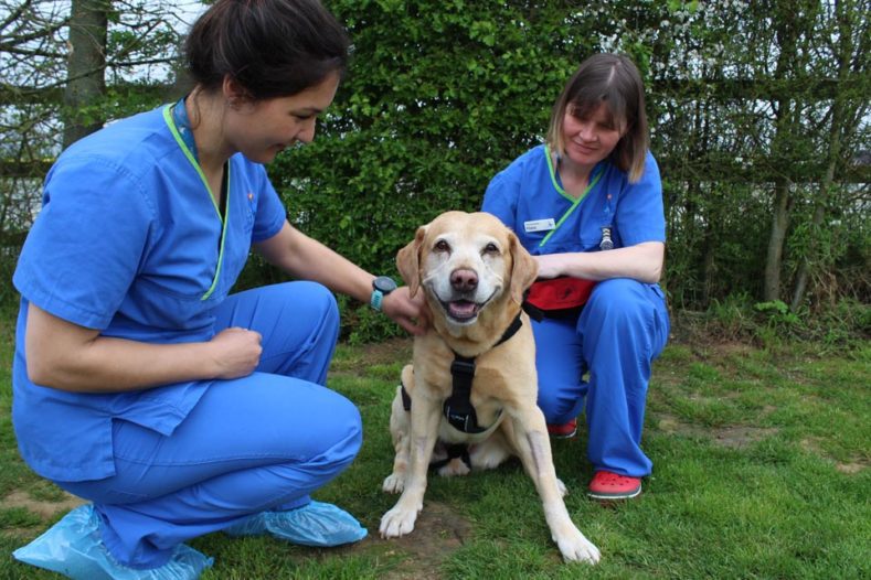 Spinal surgery patient outside with physiotherapists Fitzpatrick Referrals