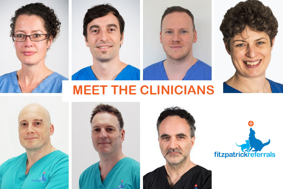 Meet the clinicians at Fitzpatrick Referrals