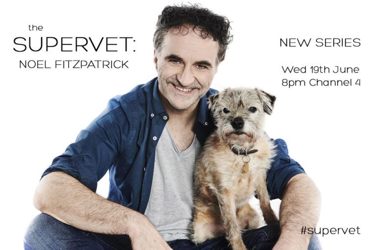 The Supervet returns for summer with series 14 News Fitzpatrick