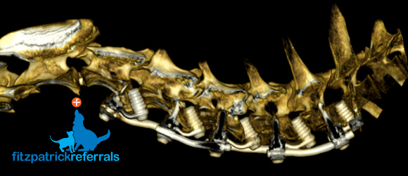 A 3D rendered CT scan of a FITS-Fitzateur device