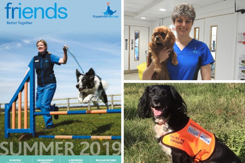 Friends newsletter summer 2019